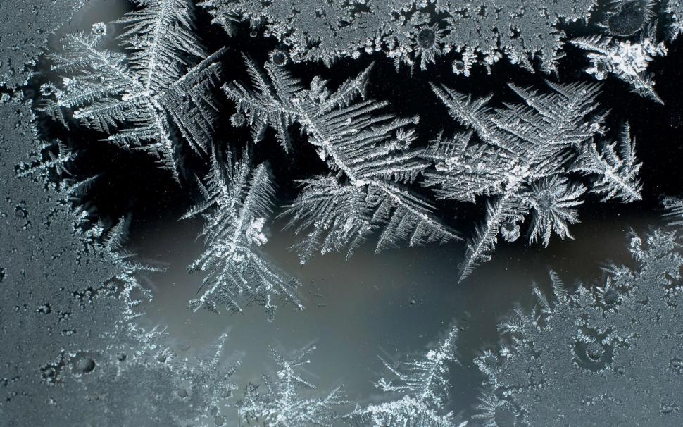 Frosted Glass wallpaper,photography HD wallpaper,2560x1600 HD wallpaper,glass HD wallpaper,frost HD wallpaper,2560x1600 wallpaper
