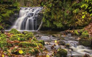 Todmorden, West Yorkshire, England, waterfall, moss, leaves, autumn wallpaper thumb
