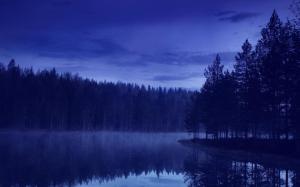 Evening, forest, river, nature, blue wallpaper thumb