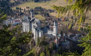 Neuschwanstein, castle, trees, Bavaria, Germany wallpaper thumb