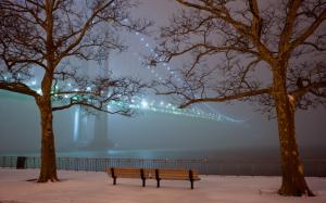 Brooklyn Bridge Bridge Park Fog Mist Trees Night Lights HD wallpaper thumb