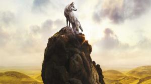 Lonely wolf on stones mountain top wallpaper thumb