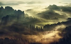Nature, Forest, Trees, Light, Hill wallpaper thumb