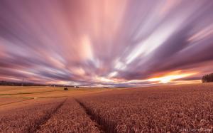 Cloudy Wheat Fields wallpaper thumb