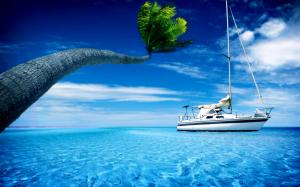 Boat, sea water, palm tree, hot summer sky wallpaper thumb