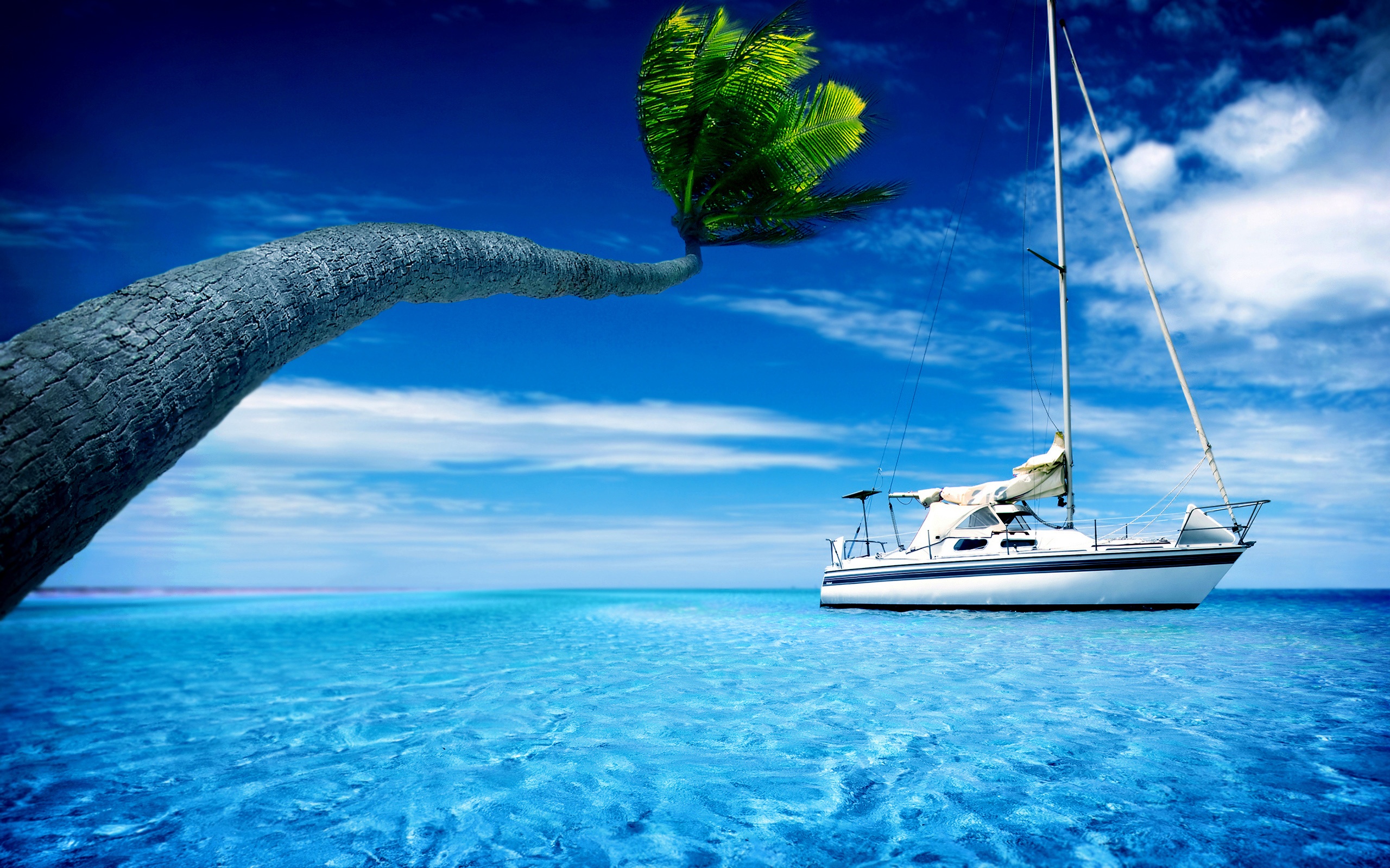 Boat Sea Water Palm Tree Hot Summer Sky Wallpaper Beach Wallpaper Better