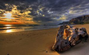 Driftwood On A Beach At Sunset Hdr wallpaper thumb