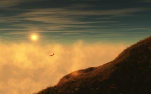 Grass, sunrise, mountain, sky, clouds, seagulls flying wallpaper thumb