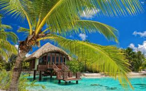 Hut in the water by the palm trees wallpaper thumb