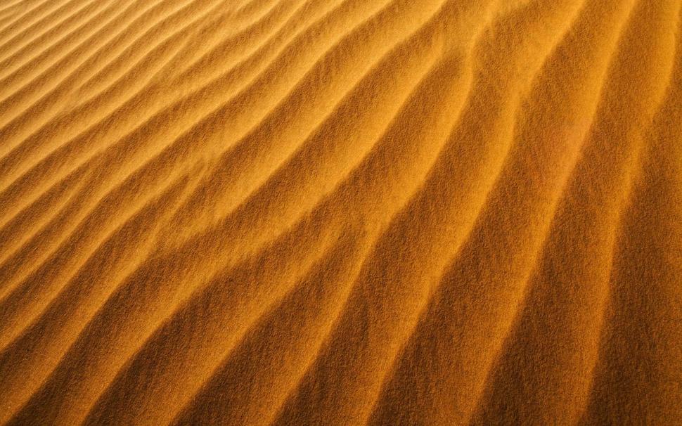 Sahara Desert Sands HD wallpaper,1920x1200 HD wallpaper,sahara desert HD wallpaper,sahara HD wallpaper,desert HD wallpaper,sand HD wallpaper,1920x1200 wallpaper