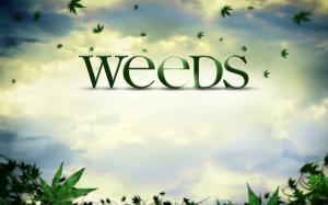 Weeds Logo wallpaper thumb