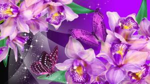 Orchid Butterfly Dance wallpaper thumb