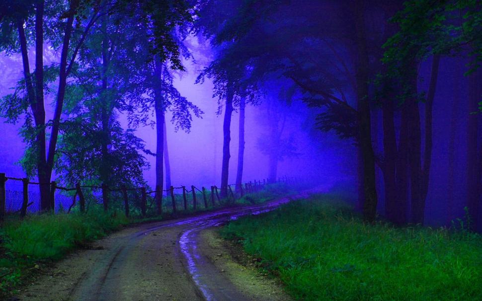 Road To The Misty Forest wallpaper,forest HD wallpaper,path HD wallpaper,mist HD wallpaper,road HD wallpaper,3d & abstract HD wallpaper,1920x1200 wallpaper