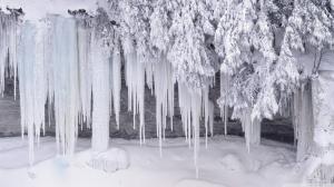 Icicles Ice Winter Snow HD wallpaper thumb