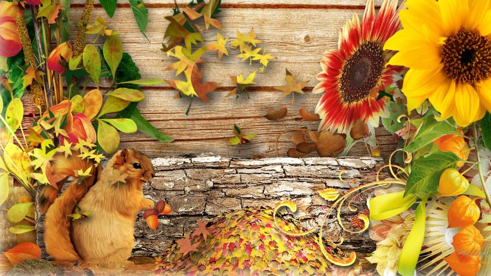 Fall Squirrel wallpaper,leaves HD wallpaper,sunflowers HD wallpaper,wood HD wallpaper,flowers HD wallpaper,autumn HD wallpaper,fall HD wallpaper,garden HD wallpaper,pods HD wallpaper,squirrel HD wallpaper,1920x1080 wallpaper