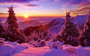 Winter, sky, sunset, mountains, forest, trees, spruce, snow wallpaper thumb