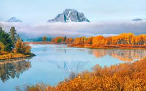 USA, Wyoming, Grand Teton National Park, trees, fog, autumn wallpaper thumb