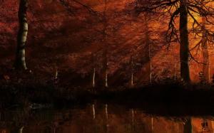 Red Forest Beauty wallpaper thumb