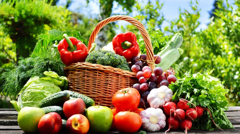 Vegetables and fruits photography, apples, tomatoes, cucumber, grapes, garlic wallpaper,Vegetables HD wallpaper,Fruits HD wallpaper,Photography HD wallpaper,Apples HD wallpaper,Tomatoes HD wallpaper,Cucumber HD wallpaper,Grapes HD wallpaper,Garlic HD wallpaper,3840x2160 wallpaper