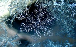 snowflake, winter, macro, ice wallpaper thumb