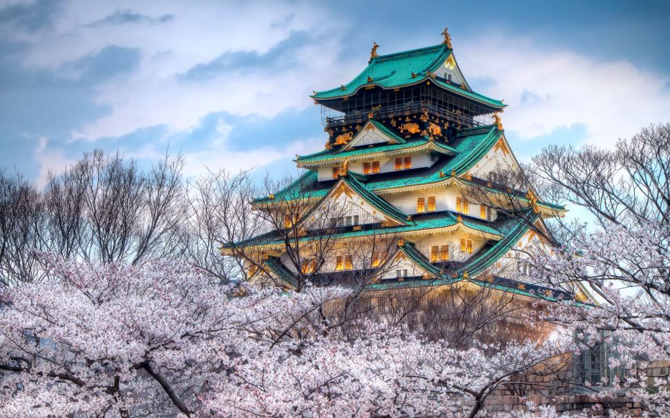 The temple of the cherry blossom season in Japan wallpaper,Temple HD wallpaper,Cherry HD wallpaper,Blossom HD wallpaper,Season HD wallpaper,Japan HD wallpaper,1920x1200 wallpaper