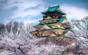 The temple of the cherry blossom season in Japan wallpaper thumb