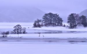 Winter snow, lake, islands, trees, ice, fog wallpaper thumb