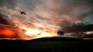 Shadow Silhouette Sunset Clouds Airplane Plane Takeoff HD wallpaper thumb