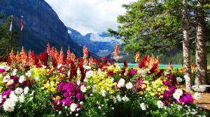 Flowers and Mountains wallpaper thumb