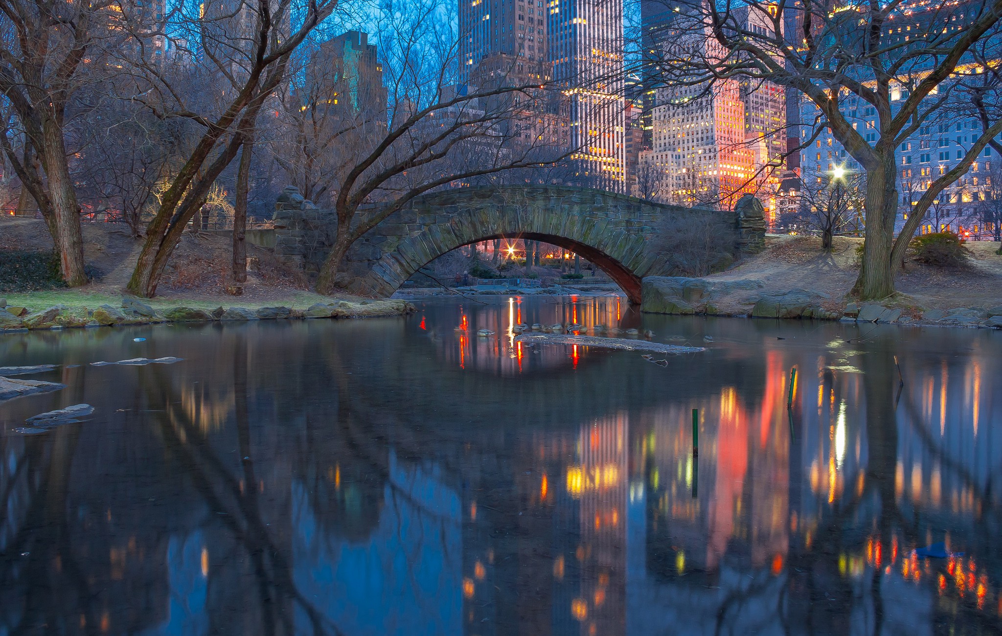 Central Park At Night Wallpaper