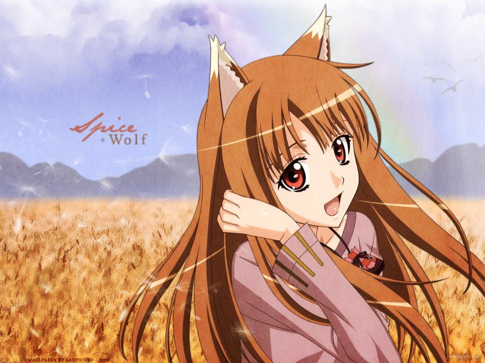Spice and Wolf Anime HD wallpaper,cartoon/comic wallpaper,anime wallpaper,and wallpaper,wolf wallpaper,spice wallpaper,1600x1200 wallpaper