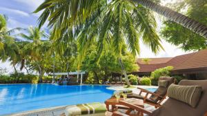 Maldives, palm trees, resort, sun loungers, pool wallpaper thumb