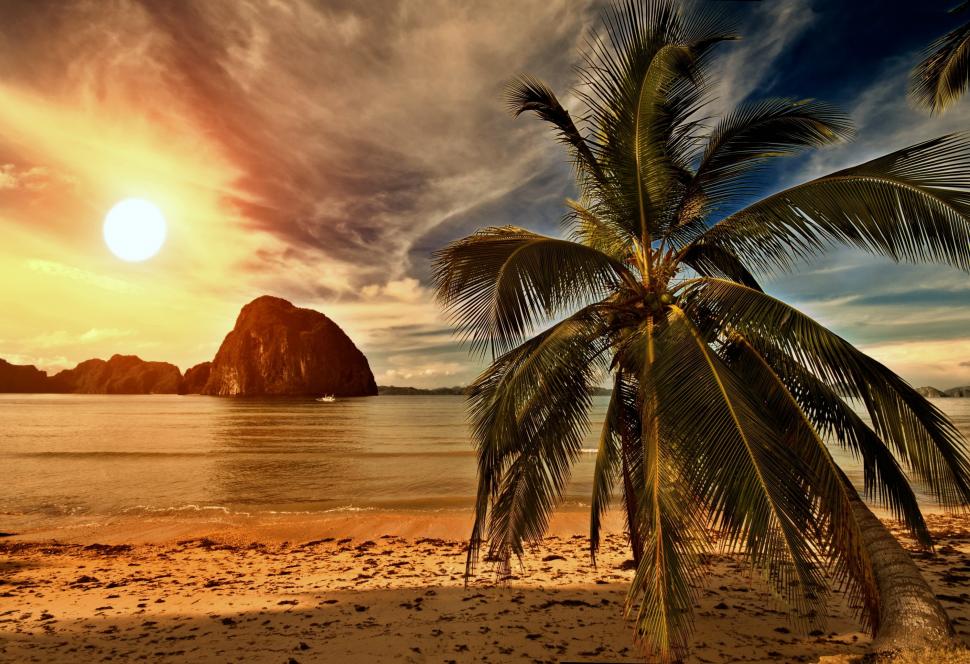 Tropical paradise,palm on beach wallpaper,tropical HD wallpaper,paradise HD wallpaper,beach HD wallpaper,palms HD wallpaper,Sea HD wallpaper,Ocean HD wallpaper,Sunset HD wallpaper,HD Wallpapers HD wallpaper,hd backgrounds HD wallpaper,free download HD wallpaper,3000x2054 wallpaper