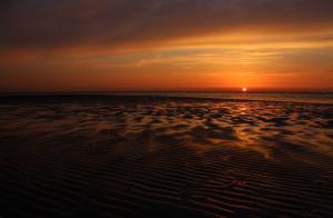 Sunset, sea, sun, horizon wallpaper thumb