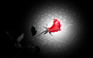 rose Abstract Black flowers hearts red HD wallpaper thumb