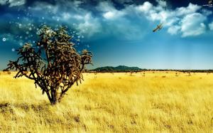 Lonely Tree on Yellow Field wallpaper thumb