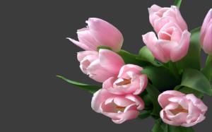 Tulip bouquet of black background wallpaper thumb