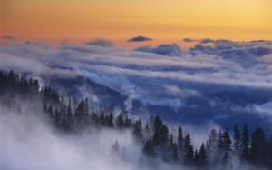 Yosemite National Park, Mist, Mountain, Forest, Sunrise, Morning, Landscape wallpaper thumb