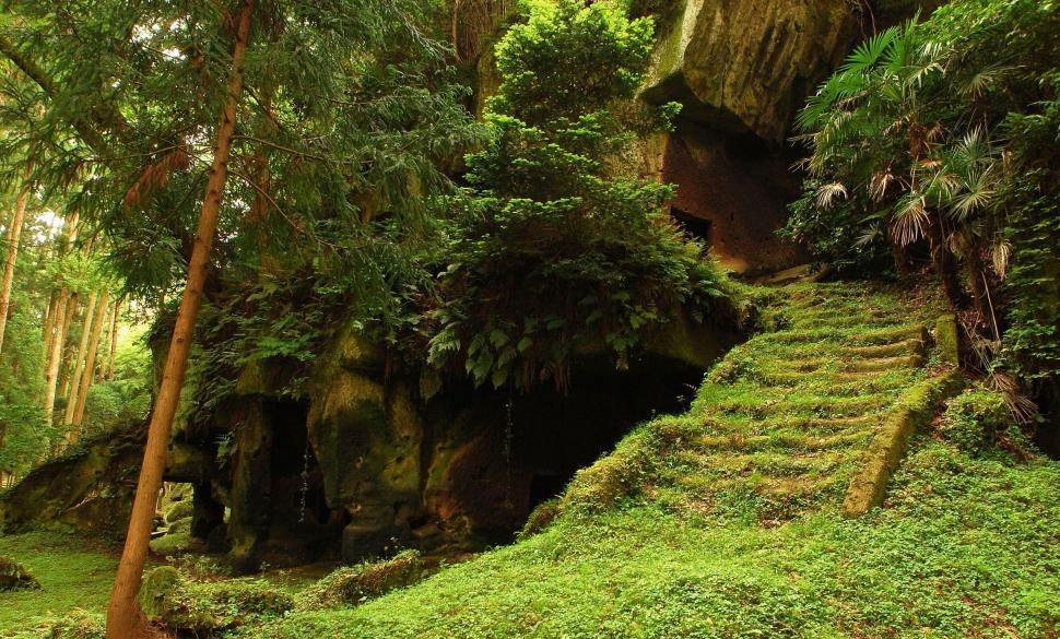 Old Caves In Jungle Forest wallpaper,cave HD wallpaper,trees HD wallpaper,forest HD wallpaper,nature HD wallpaper,grass HD wallpaper,greenery HD wallpaper,rainforest HD wallpaper,jungle HD wallpaper,nature & landscapes HD wallpaper,2387x1440 wallpaper