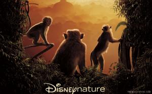 Monkey Kingdom Movie 2015 wallpaper thumb