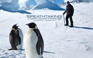 Antarctica A Year on Ice 2014 Movie wallpaper thumb