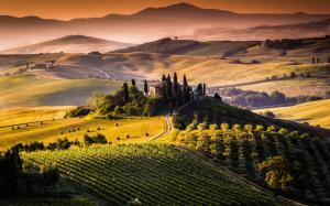 Amazing Tuscany View wallpaper thumb