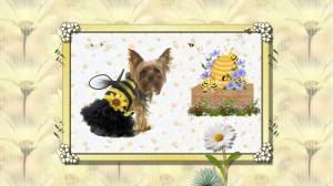Buzzy The Bee wallpaper thumb