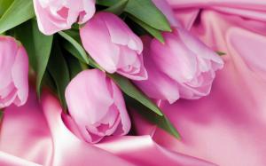 Pink tulip macro, pink satin wallpaper thumb