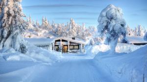 House Cabin Snow Trees Winter HD wallpaper thumb