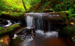 Forest River Timber Waterfall Background Free wallpaper thumb