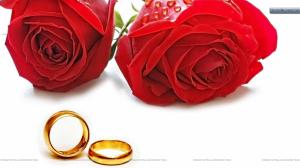 Red Roses With Golden Wedding Rings. wallpaper thumb