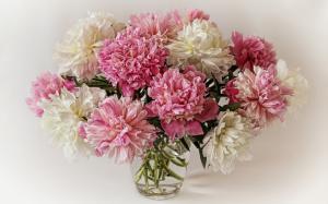 A bouquet of peonies, white pink flowers wallpaper thumb