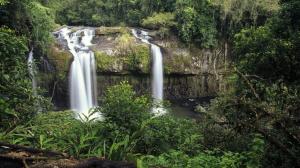 Waterfall Tropical Forest Jungle Timelapse HD wallpaper thumb