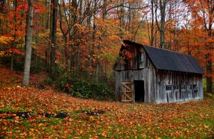 Autumn cabin in the wood wallpaper thumb